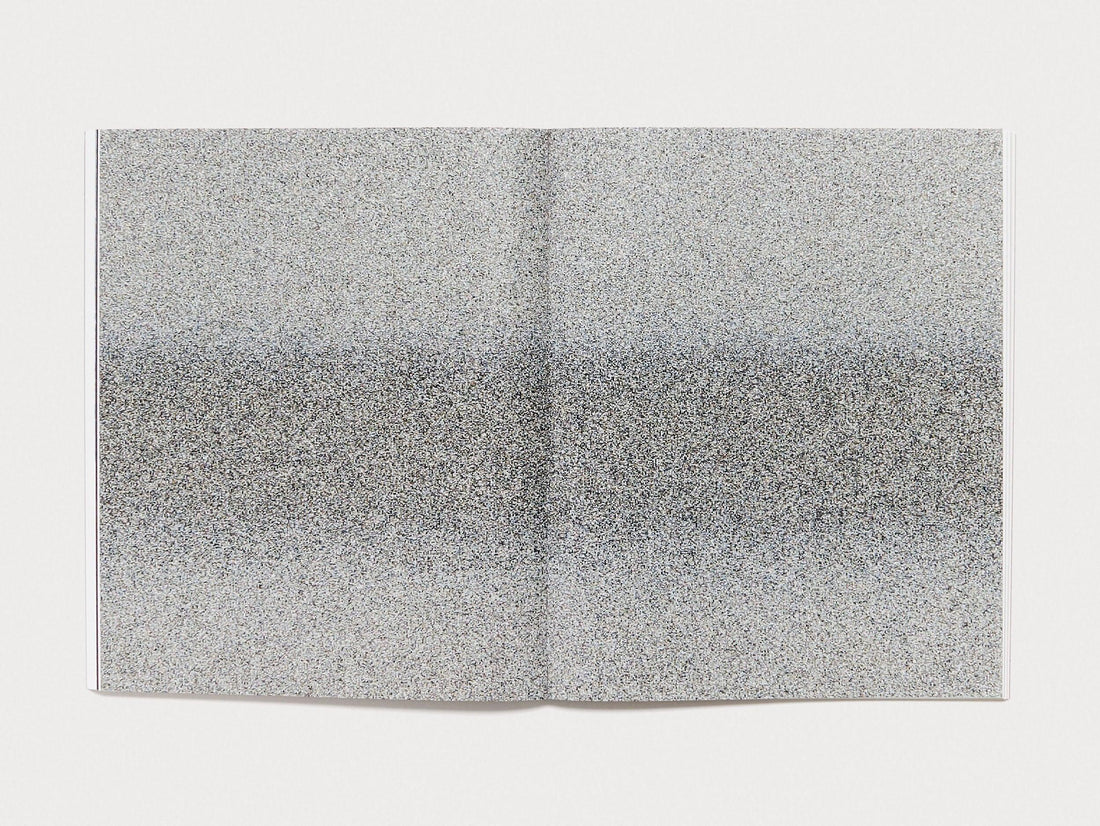 Multi Multi - Photoworks Annual #31 - Antenne Books