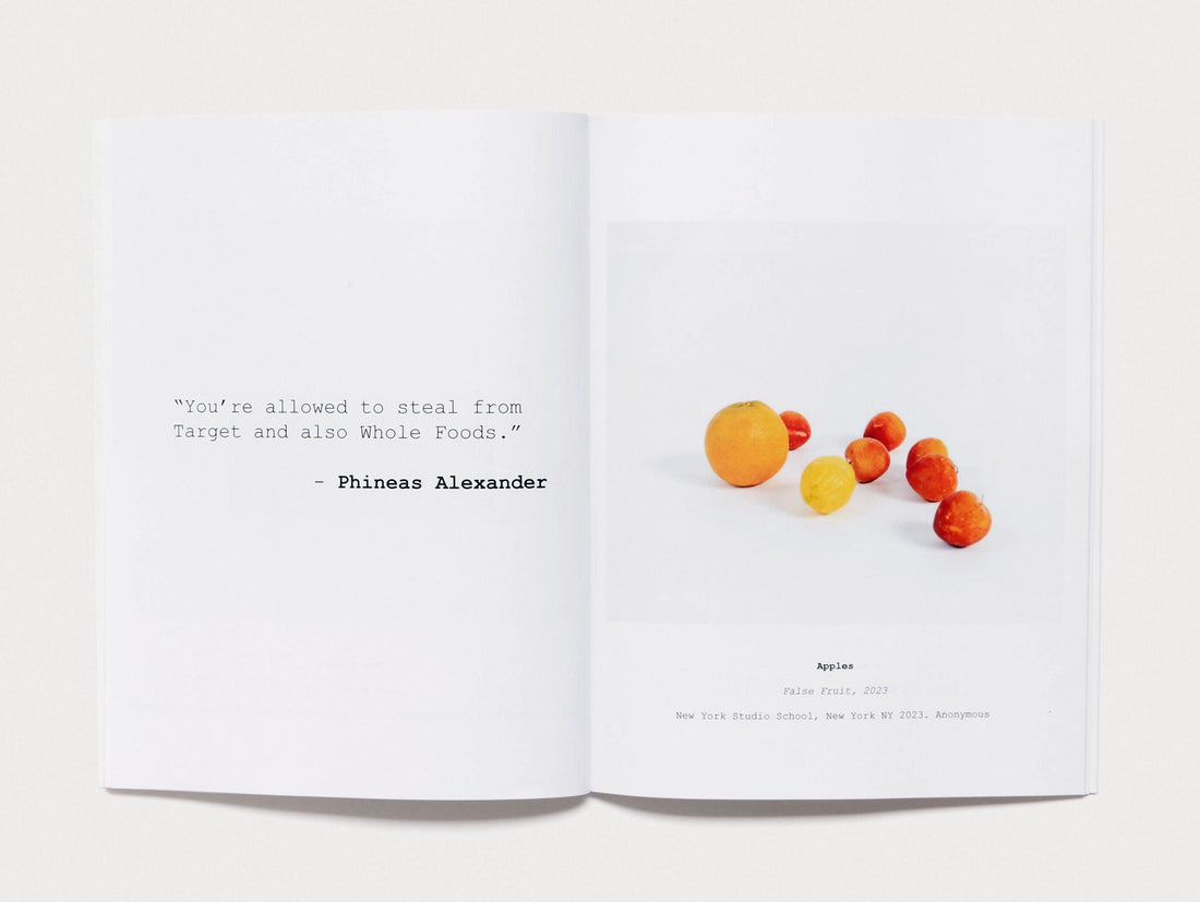 The Show of Stolen Goods - Antenne Books