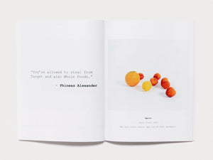 The Show of Stolen Goods - Antenne Books