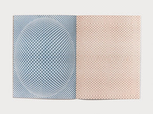 Stubborn Structures Zine - Antenne Books