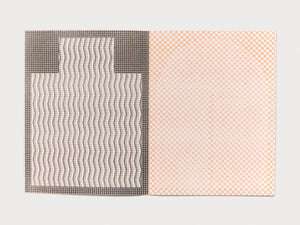 Stubborn Structures Zine - Antenne Books