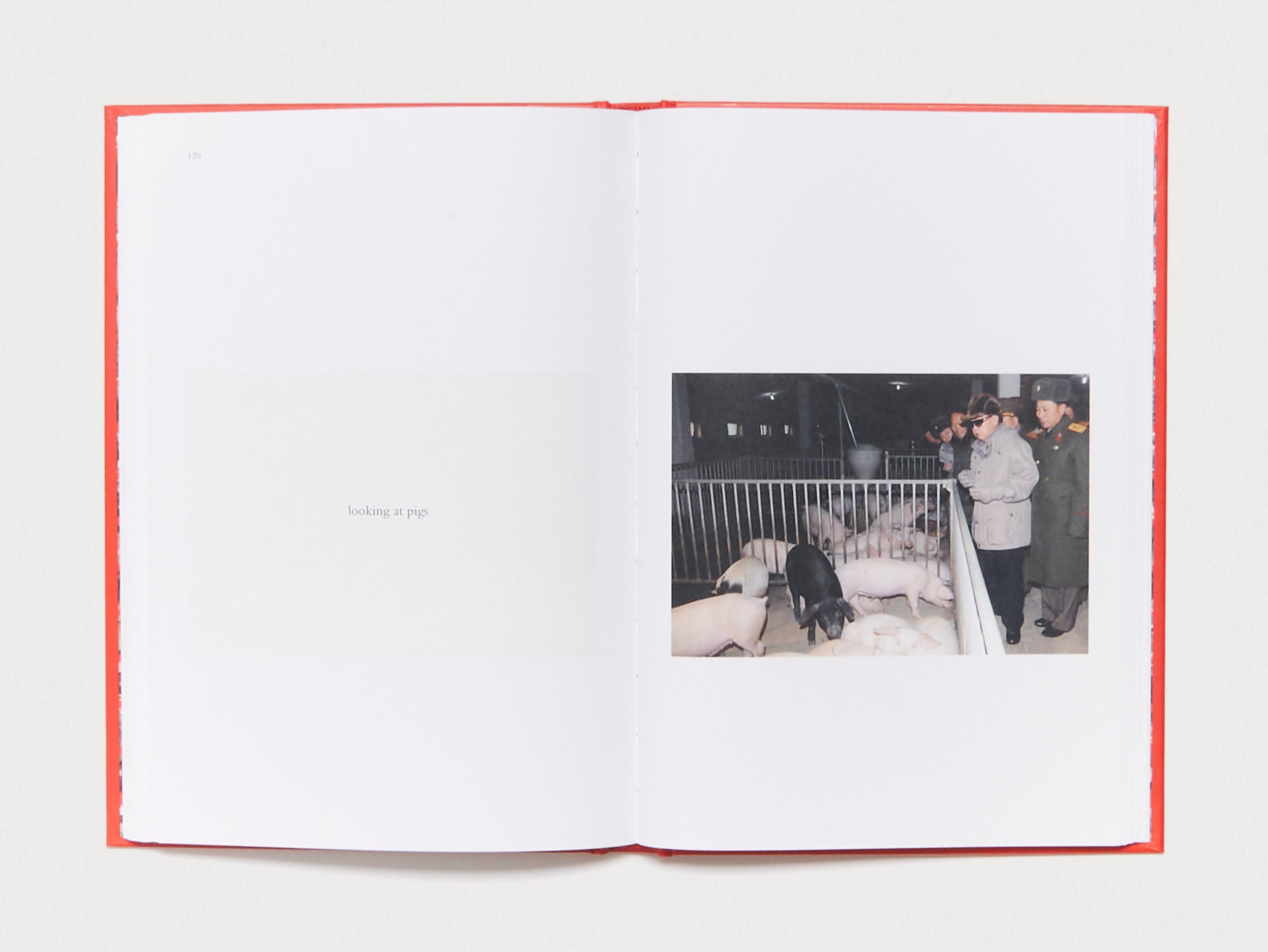 洋書 KIM JONG IL LOOKING AT THINGS Kim Jong Il Looking at Things