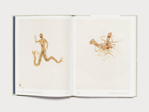 Miquel Barceló: Oceanographer - Antenne Books