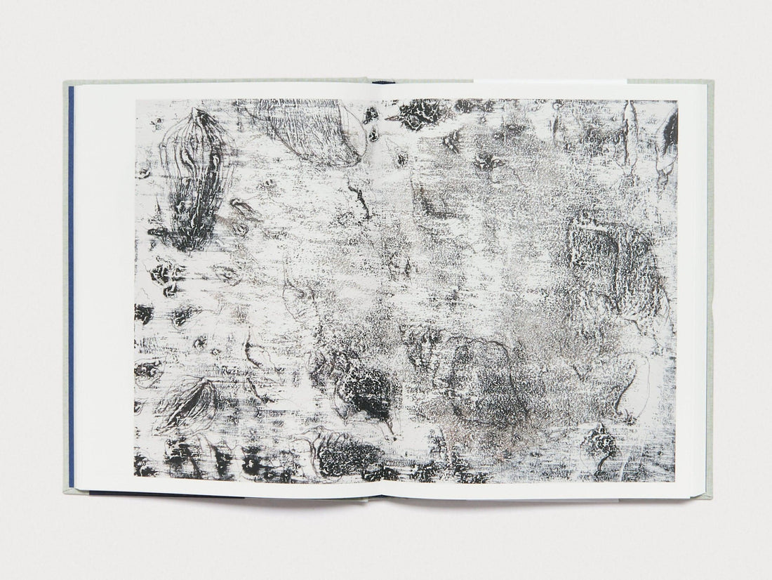 Miquel Barceló: Oceanographer - Antenne Books