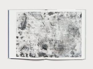 Miquel Barceló: Oceanographer - Antenne Books