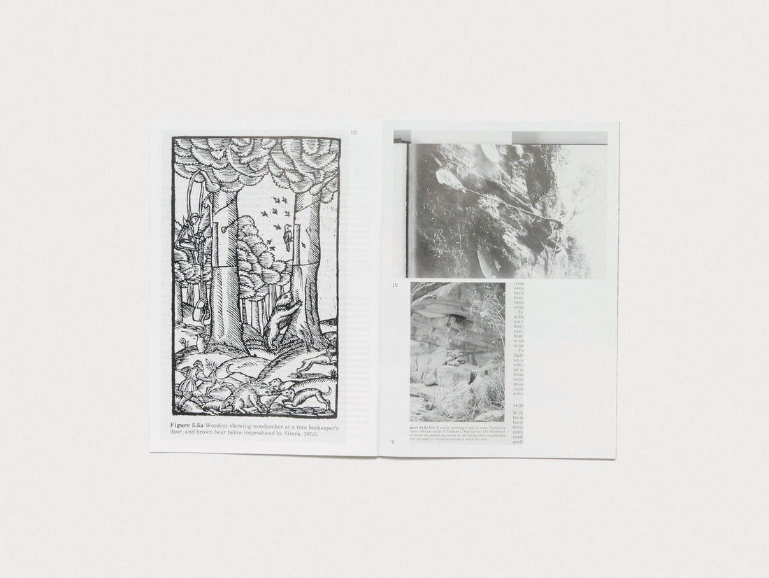 Apian Gazette Vol 1 - Antenne Books