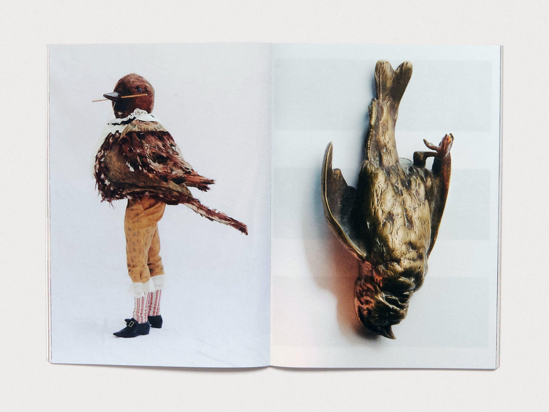 Beaks - Antenne Books