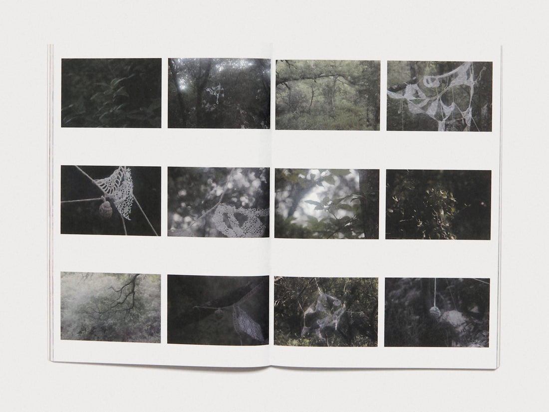 Beaks - Antenne Books