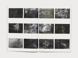 Beaks - Antenne Books