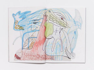 Beaks - Antenne Books