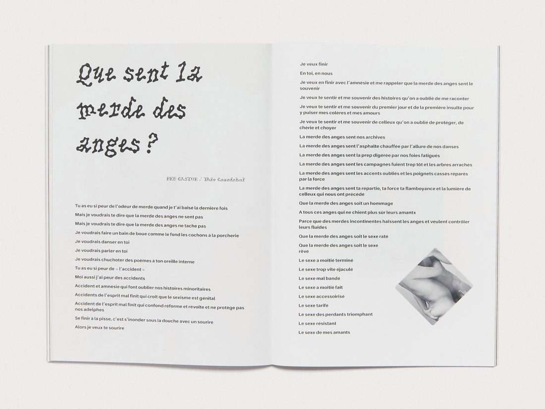 Beaks - Antenne Books
