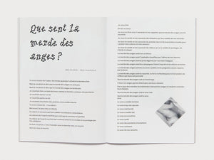 Beaks - Antenne Books