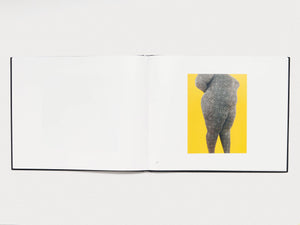 Mother Goddess - Antenne Books