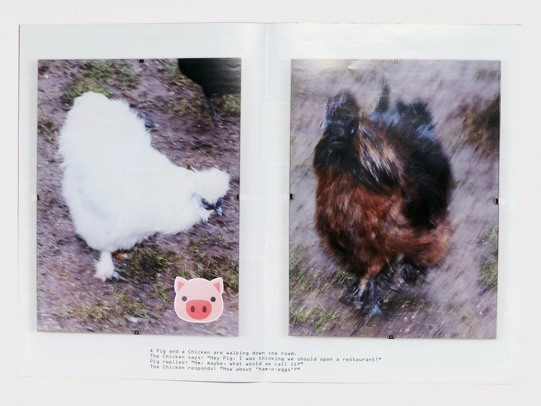 Poster Zine - Antenne Books