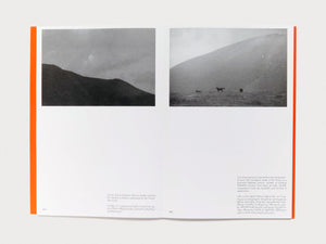 Bastard Sun - Antenne Books