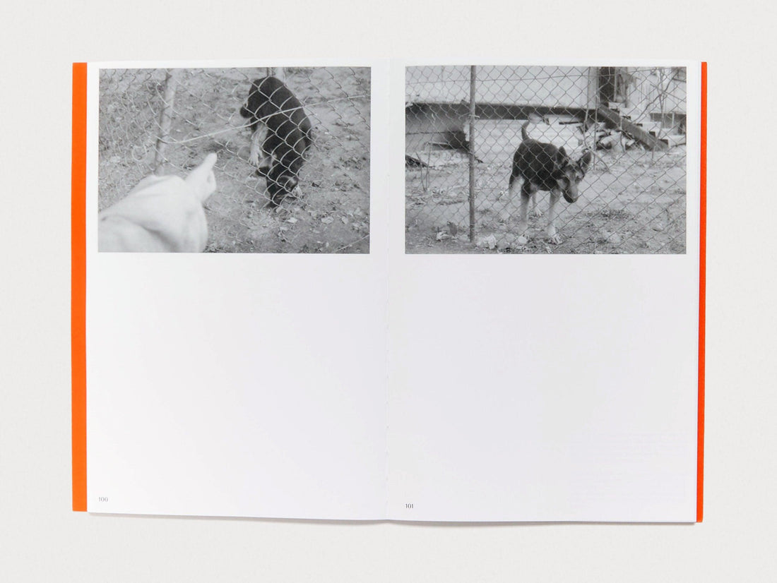 Bastard Sun - Antenne Books