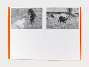 Bastard Sun - Antenne Books