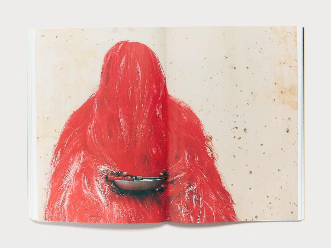 Grow It, Show It! A Look at Hair from Diane Arbus to TikTok - Antenne Books