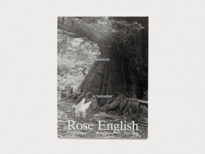 Begin Suddenly in Splendour - Antenne Books