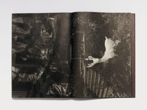 Wild Grass - Antenne Books