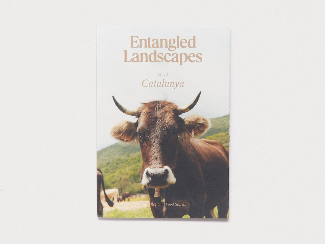Entangled Landscapes Vol 2: Catalunya - Antenne Books