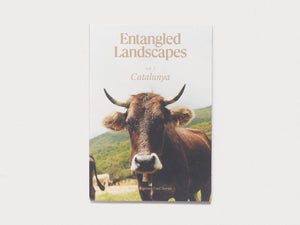 Entangled Landscapes Vol 2: Catalunya - Antenne Books