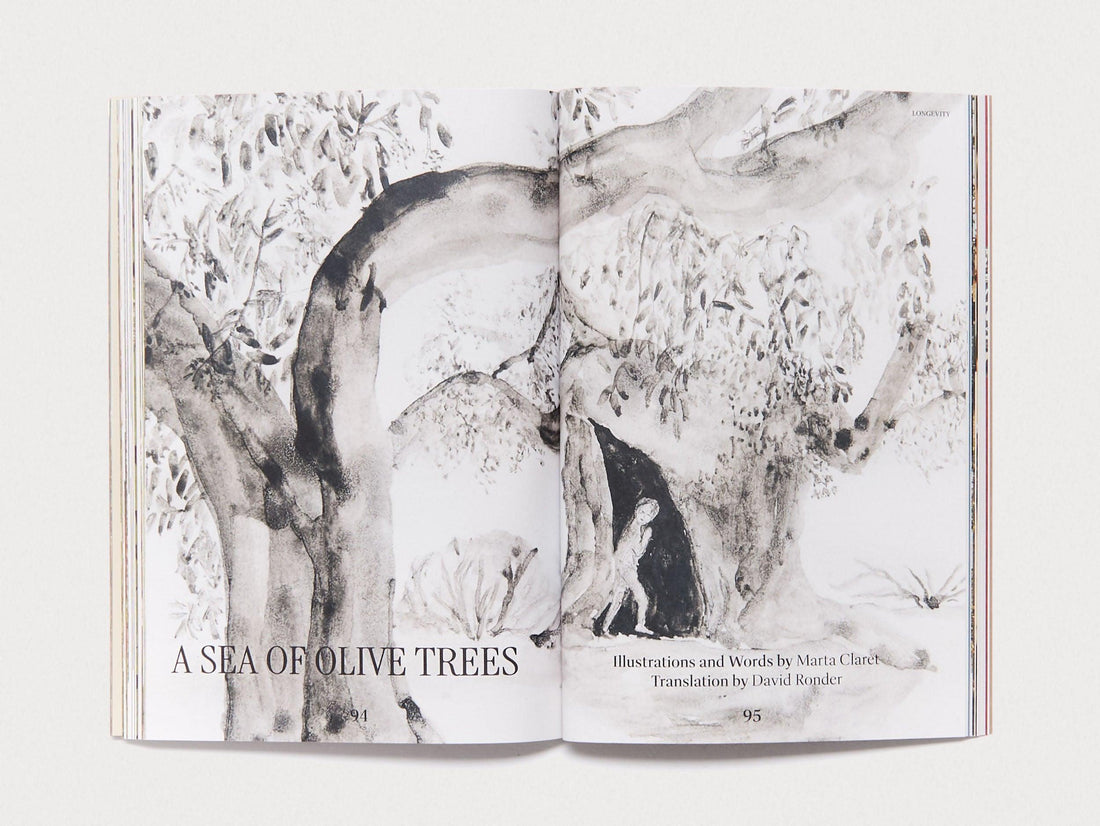 Entangled Landscapes Vol 2: Catalunya - Antenne Books