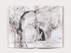 Entangled Landscapes Vol 2: Catalunya - Antenne Books