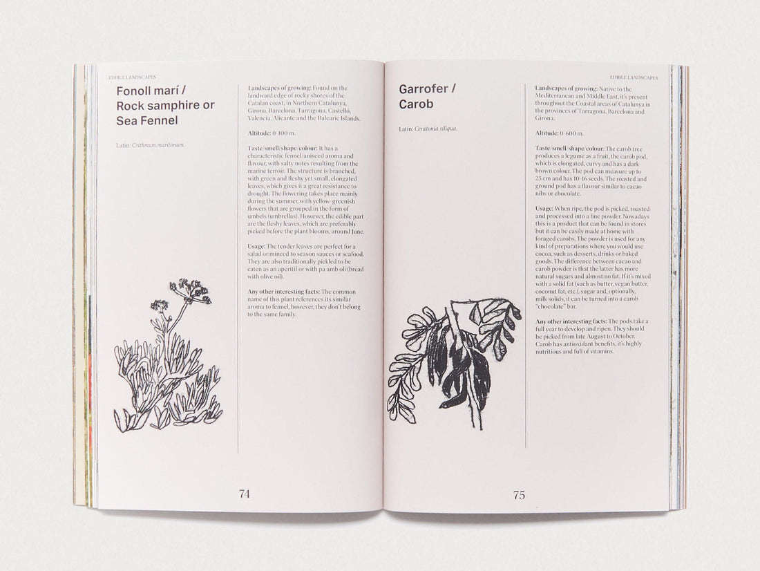 Entangled Landscapes Vol 2: Catalunya - Antenne Books