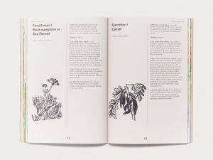 Entangled Landscapes Vol 2: Catalunya - Antenne Books