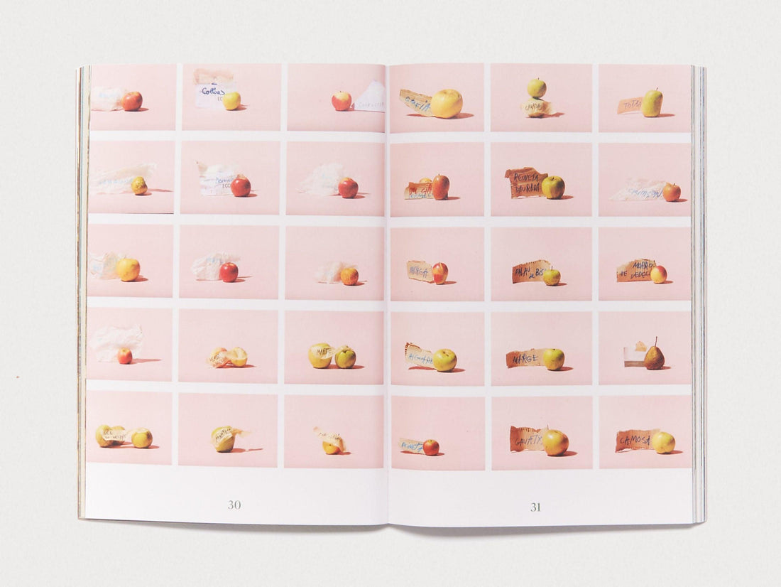 Entangled Landscapes Vol 2: Catalunya - Antenne Books