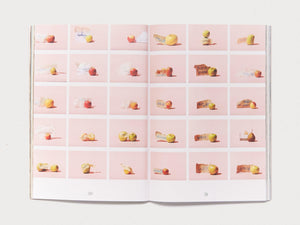 Entangled Landscapes Vol 2: Catalunya - Antenne Books