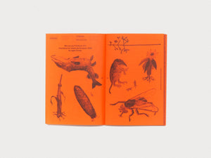 A Tree, A Reader on Arboreal Kinship - Antenne Books