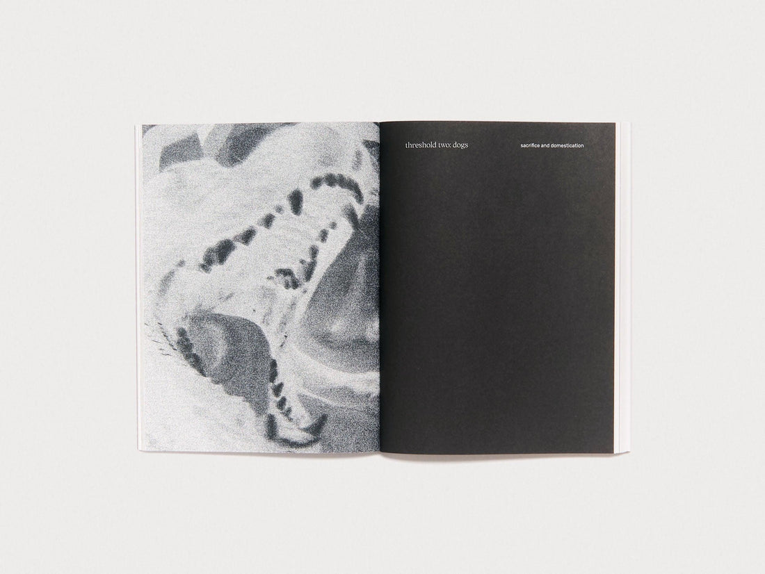 Three Becomes Two Becomes One Becomes None - Antenne Books