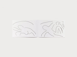 Matisse - Antenne Books