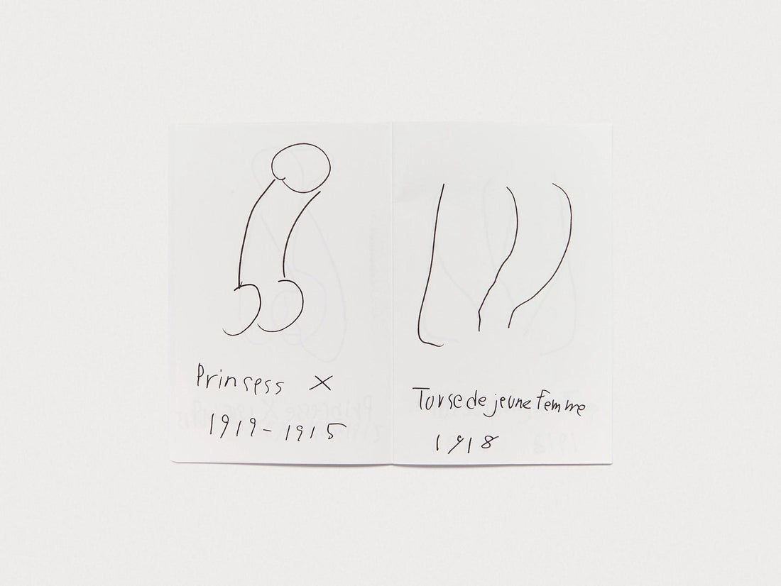 Brancusi - Antenne Books