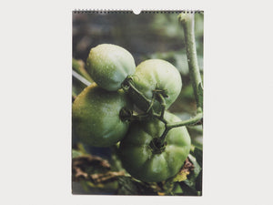 Semaine ISSUE 11 - Antenne Books