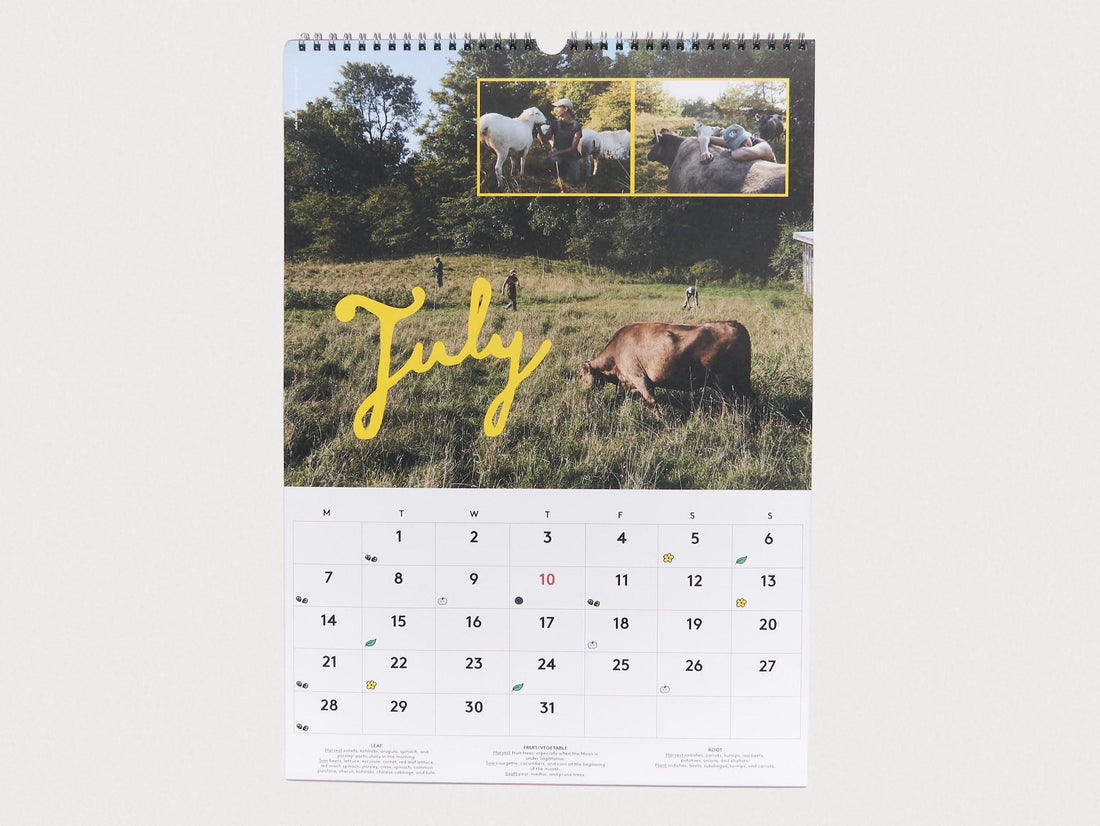 Semaine ISSUE 11 - Antenne Books