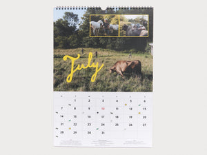 Semaine ISSUE 11 - Antenne Books