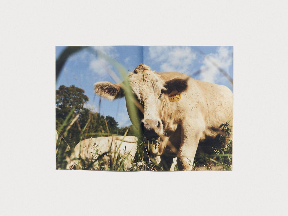 Semaine ISSUE 11 - Antenne Books