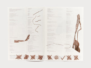 TWIG - Antenne Books