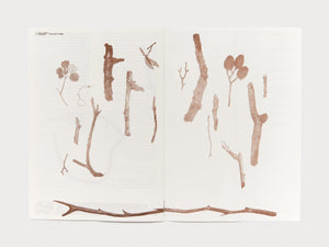 TWIG - Antenne Books