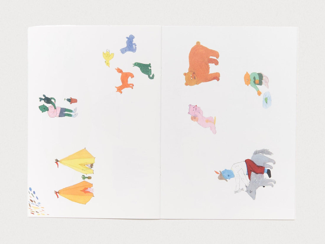 Bird Pit - Antenne Books