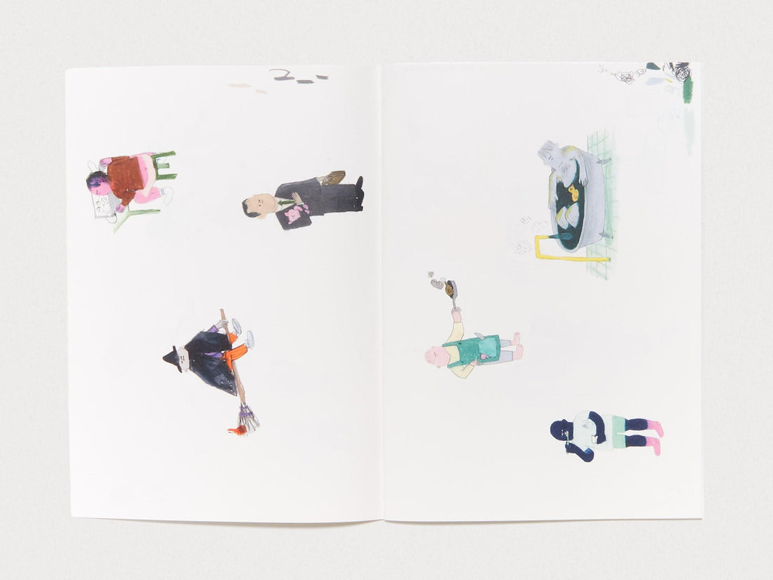 Bird Pit - Antenne Books