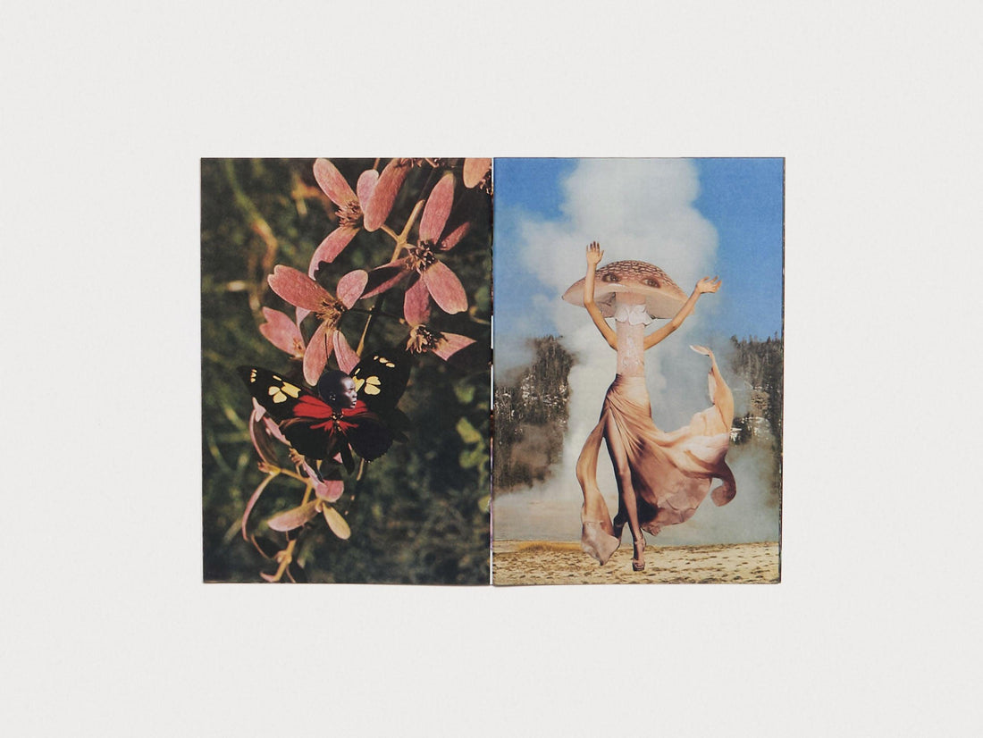 Hybrids and Mushroom friends - Antenne Books