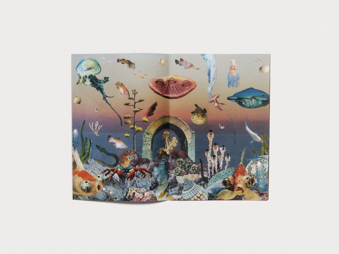 Hybrids and Mushroom friends - Antenne Books