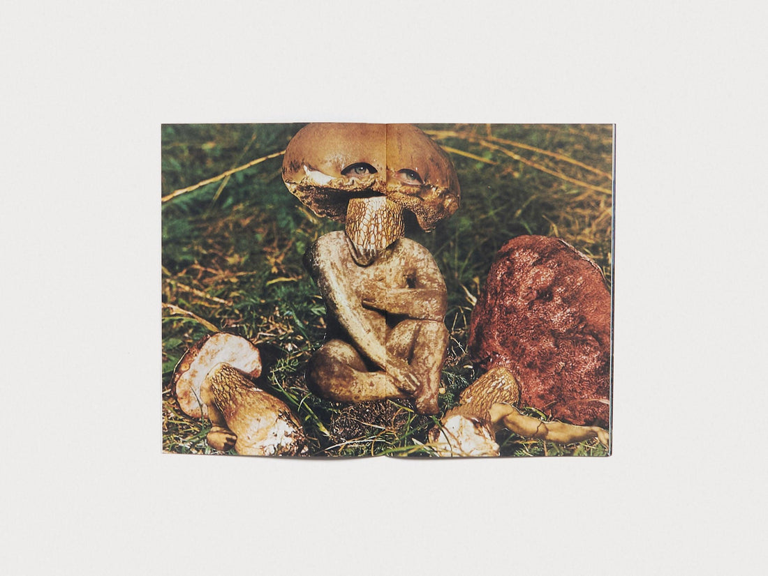 Hybrids and Mushroom friends - Antenne Books