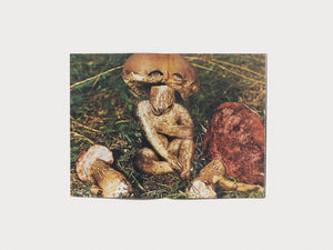 Hybrids and Mushroom friends - Antenne Books