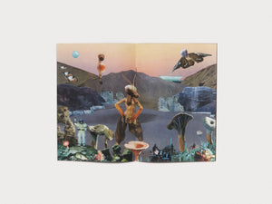 Hybrids and Mushroom friends - Antenne Books