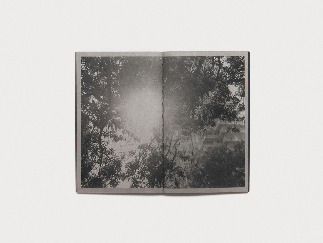 No One Left to Blame - Antenne Books